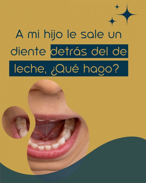 Dentista 3